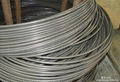 steel wire  1
