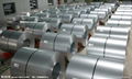 steel coils DC01 DC02 DC03