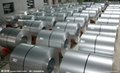 Galvanized Steel Sheet In Coils（Plates） 3