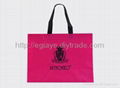 NON-WOVEN BAG 2