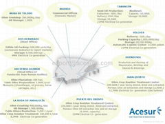 Aceites del Sur-Coosur S.A.