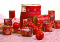 Tomato Paste 5