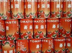 Tomato Paste