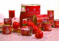 Tomato Paste 3