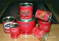 Tomato Paste 2