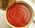 Tomato Paste 1