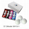 B113 High Quality Golf Ball With Golf