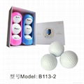 B113 High Quality Golf Ball With Golf Ball Holder Golf Tournament Ball 2