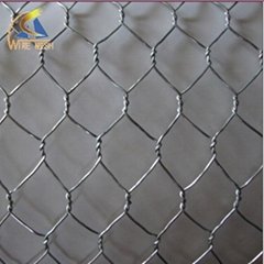 Gabion box wire mesh
