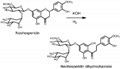 Neohesperidin Dihydrochalcone (Neo-Dhc) 3