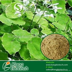 Epimedium Extract-Icariin