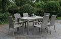 Family Outdoor All Weather PE Rattan Dining Set 1