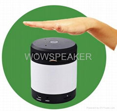 Hand gesture recognition Bluetooth speaker 