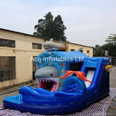 best design inflatable shark combo