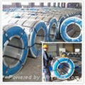 Pre-painted galvalume steel coils 4