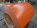 Pre-painted galvanized steel coils 4