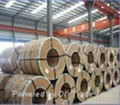 Pre-painted galvanized steel coils 5