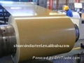 Color coated steel coil 1