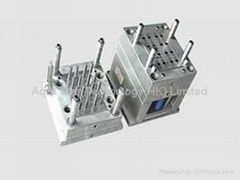 injection mold