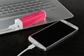 2600mAh Universal Battery Charger Power