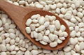 White Kidney Beans