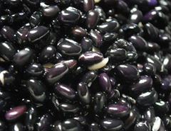  black Kidney Beans