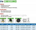 Rechargeable LED Work Light/ LED Flood light 10/20/30W 5