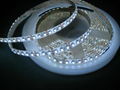 3528 SMD 120LED/M LED Flexible Strips 1