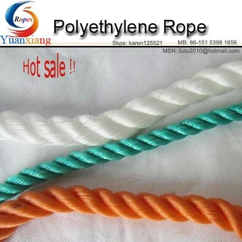High Quality Packing Rope 4