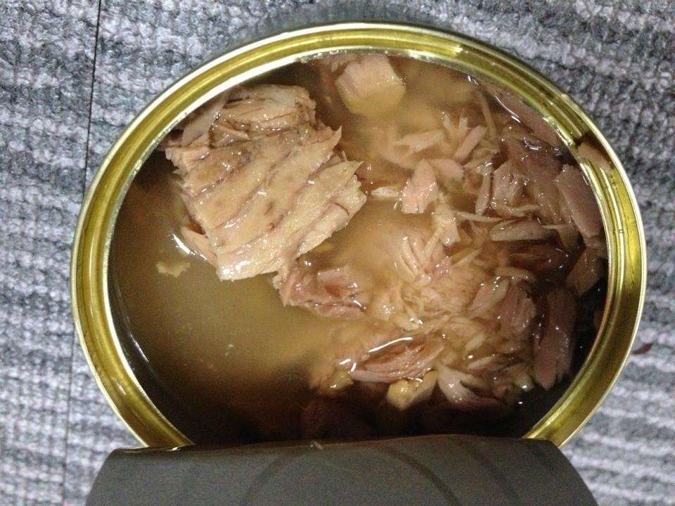 canned tuna in oil 170g 