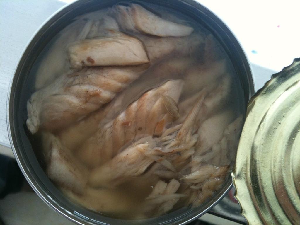 canned tuna in oil 170g  2