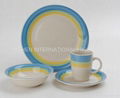 HOT sales handpainted dinner set 2