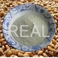 wheat gluten 80mesh(vital wheat gluten) food ingredients