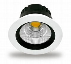 5W LED COB  Down Light