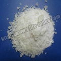 Polyester Resin