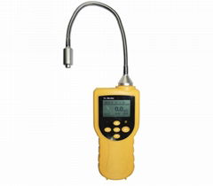 Portable Combustible Gas Detector