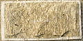 Tiger Yellow Granite 2