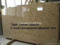 Tiger Yellow Granite 1