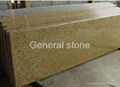 Tiger Yellow Granite 3