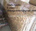 Giallo fiorito granite