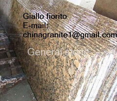 Giallo fiorito granite 