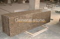 Giallo fiorito granite  4