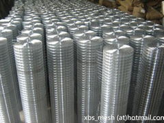 Galvanized welded wire mesh