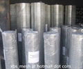 Galvanized welded wire mesh 1