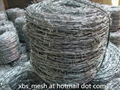 Galvanized barbed wire 