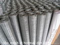 Suqare wire mesh