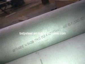 Tp410 SUS410 AISI410 1.4006 Stainless Steel Seamless (SMLS) Tube or Tubing