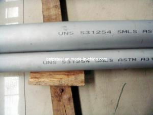 254smo 1.4547 Uns S31254 Super Austenitic Stainless Steel Seamless Pipe or Tube