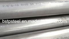 Tp310s SUS310S AISI310s Stainless Steel Seamless (SMLS) Pipe or Tube