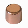 Copper Cap